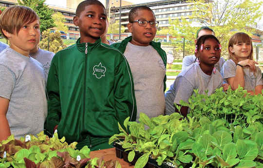     Students learn about fresh produce at the Deaver Wellness Farm. Photo courtesy of Lankenau.
