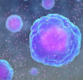 Cytokines, small proteins released by a number of immune cells