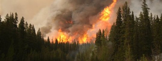 Alaska’s Forest Fires Burn More Fiercely