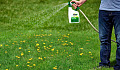 This Common Weed Killer Ups Risk Of Some Cancers By 40%